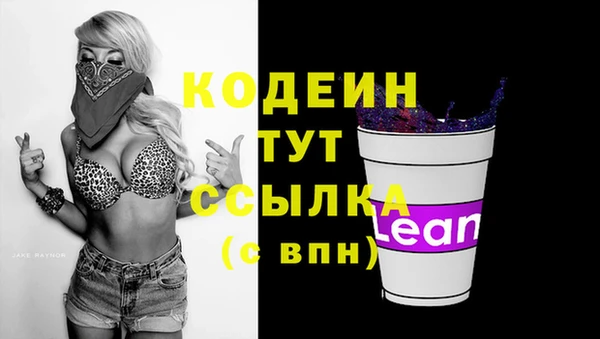 прущий лед Богородск