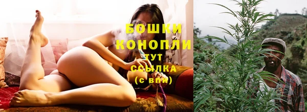 метадон Богородицк