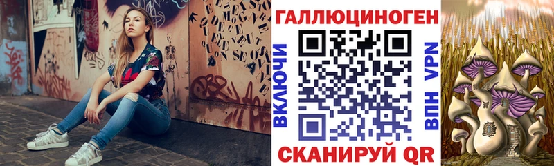 Купить  Саяногорск  Псилоцибиновые грибы Psilocybe 